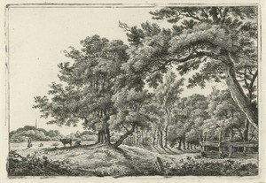 Landschap met twee koeien in de schaduw