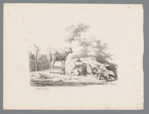 Landschap met twee schapen