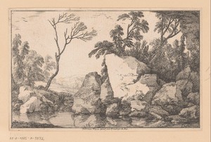 Landschap met verdorde boom
