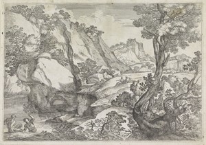 Landschap met vergroeide boom