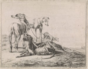 Landschap met vier hazewindhonden