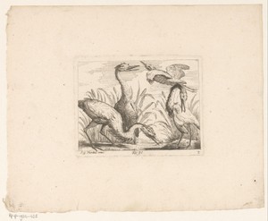 Landschap met vier reigers