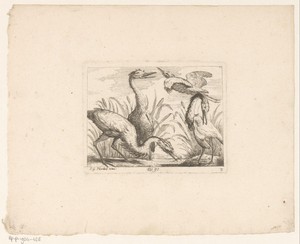 Landschap met vijf fazanten