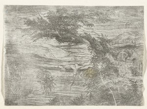 Landschap met visser