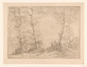 Landschap met visser