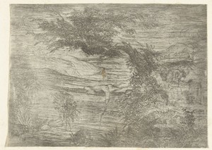 Landschap met visser