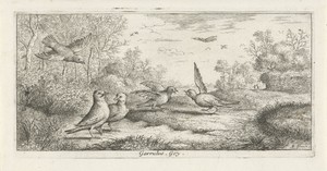 Landschap met vlaamse gaaien