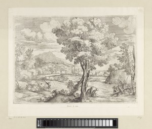 Landschap met vogel op boomstronk