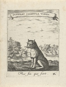 Landschap met vos