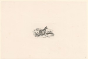 Landschap met waakhond