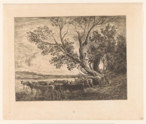 Landschap met wadende runderen