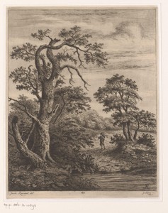 Landschap met wandelaar bij water