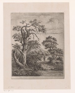 Landschap met wandelaar bij water