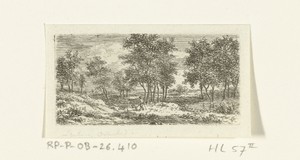 Landschap met wandelaar en hond
