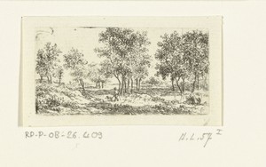 Landschap met wandelaar en hond
