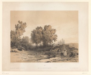 Landschap met wasplaats