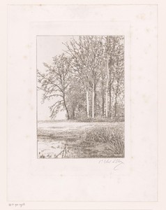 Landschap met water en bomen