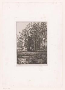 Landschap met water en bomen