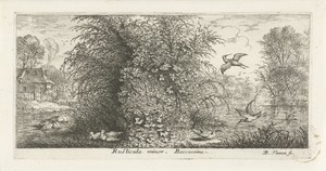 Landschap met watersnip