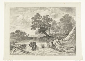 Landschap met waterval