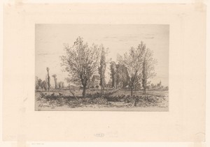 Landschap met weide en zicht op een stad