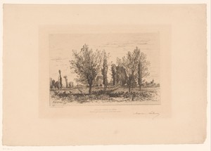 Landschap met weide en zicht op een stad
