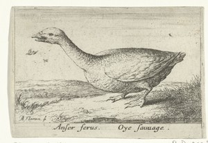 Landschap met wilde gans
