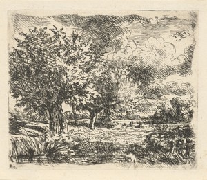 Landschap met wilgen
