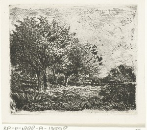 Landschap met wilgen