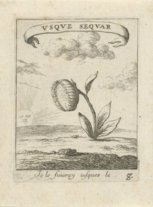 Landschap met zonnebloem