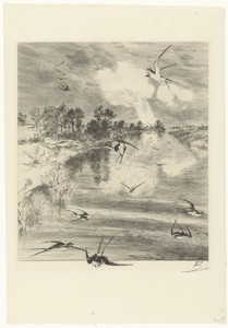 Landschap met zwaluwen in vlucht boven rivier