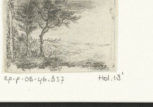 Landschap twee bomen