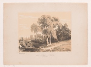 Landschapsstudie