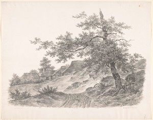 Landweg en huizen