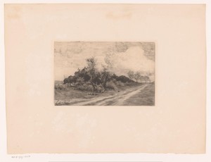 Landweg langs een groep bomen