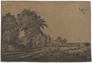 Landweg met bomen