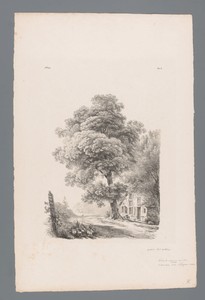 Landweg met boom en boerderij