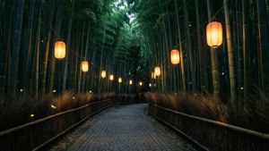 Lantern Bamboo Path