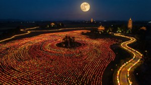 Lantern Field from Above