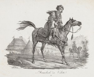 Large Suite of Horses:  Mounted Mamelucke