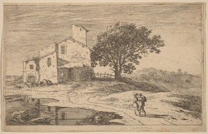 Large Tree near a House