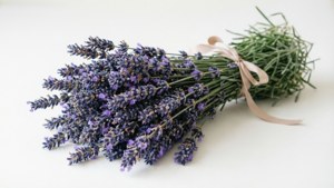 Lavender Bunch Elegance