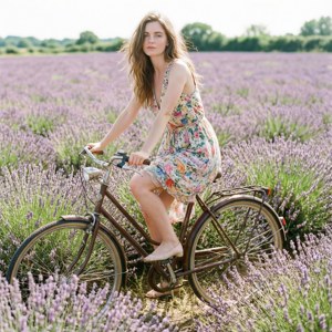 Lavender Dreams