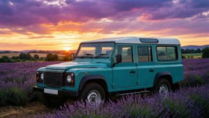 Lavender Field Defender