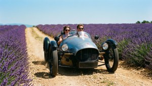 Lavender Field Drive