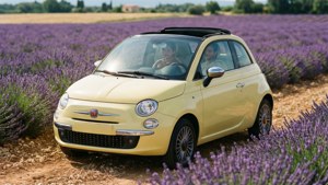 Lavender Fields Drive