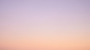 Lavender Peach Gradient