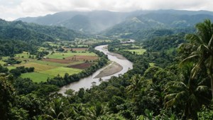 Layou River Valley