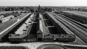 Layout of Loss