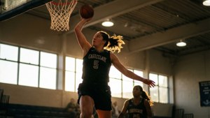 Layup Launch
